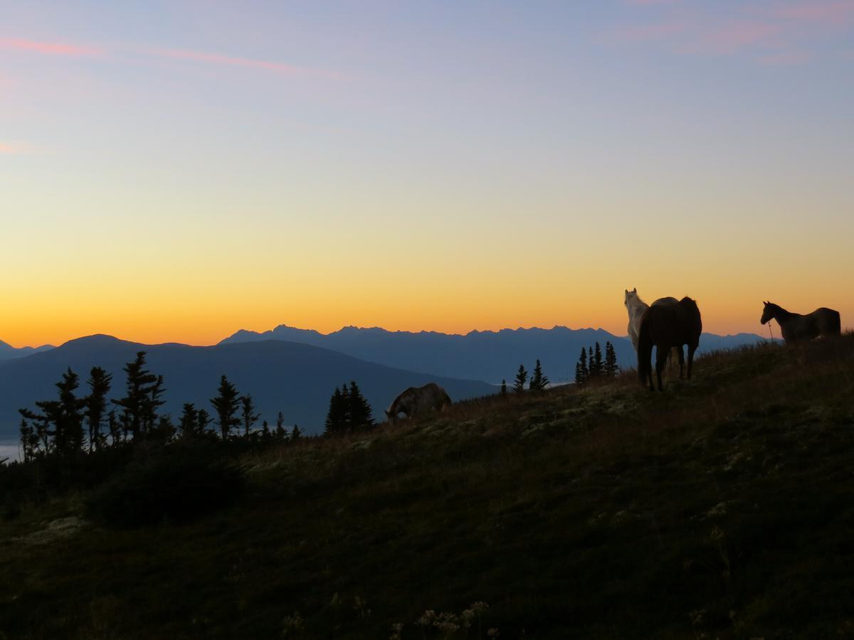 Bear Claw Lodge Kispiox Buitenkant foto