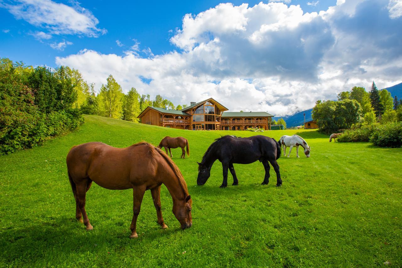 Bear Claw Lodge Kispiox Buitenkant foto