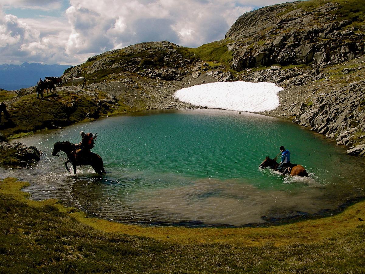 Bear Claw Lodge Kispiox Buitenkant foto