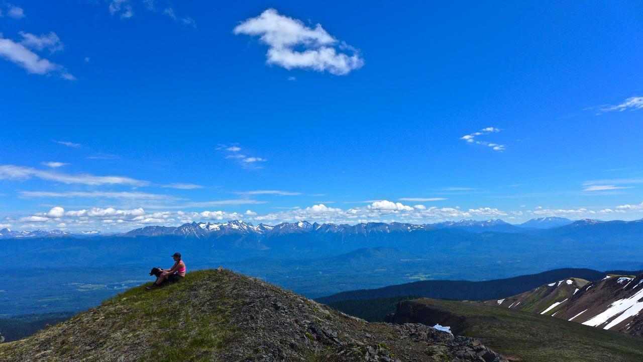 Bear Claw Lodge Kispiox Buitenkant foto