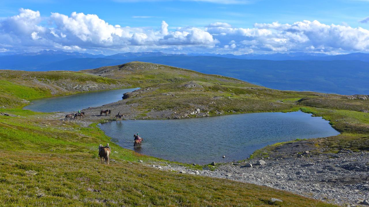 Bear Claw Lodge Kispiox Buitenkant foto
