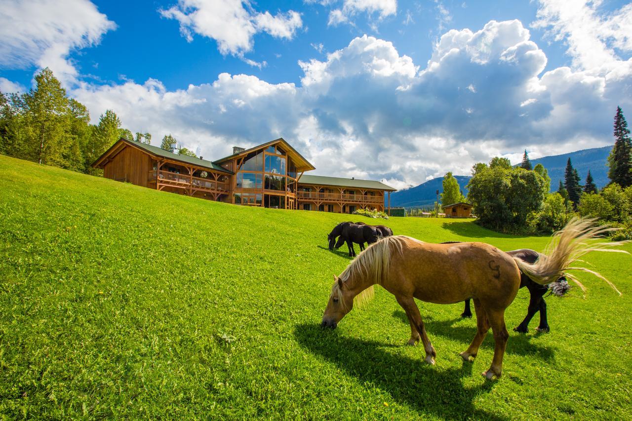 Bear Claw Lodge Kispiox Buitenkant foto