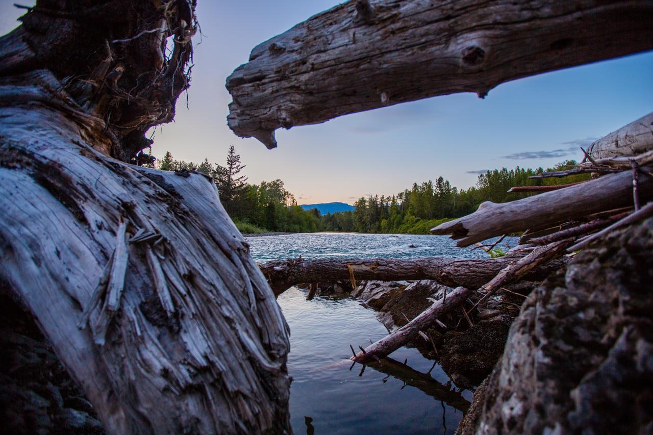 Bear Claw Lodge Kispiox Buitenkant foto