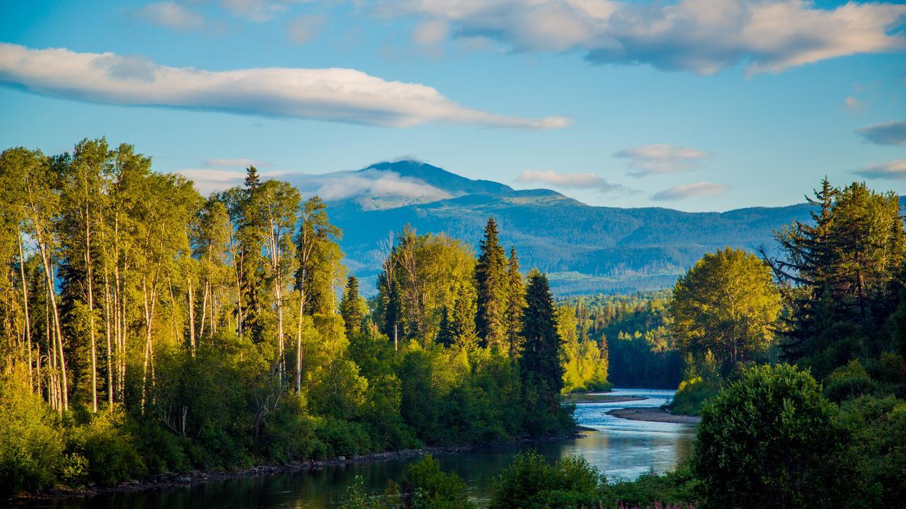 Bear Claw Lodge Kispiox Buitenkant foto