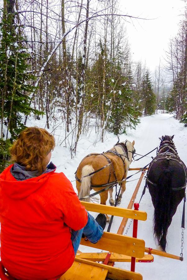 Bear Claw Lodge Kispiox Buitenkant foto