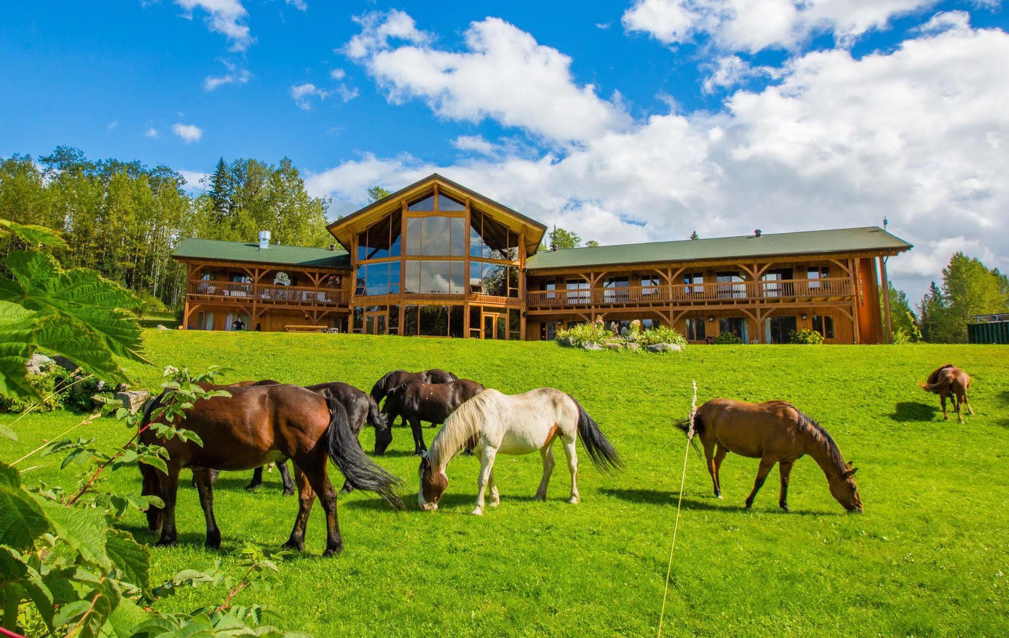 Bear Claw Lodge Kispiox Buitenkant foto
